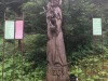Nolblinger-waterval-2