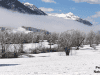 Winterfoto-naturpanorama