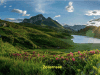 Zollnersee
