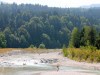01-koopwoningenoostenrijk-project-dreilandereck-zomer-06